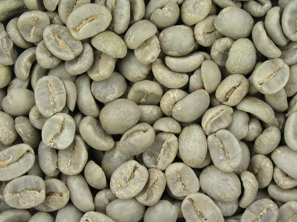 Raw green Robusta coffee beans from the Vietnamese highlands